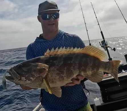 Vibe - 155mm - 190gms