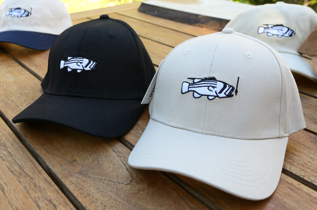 6 Panel (Structured)