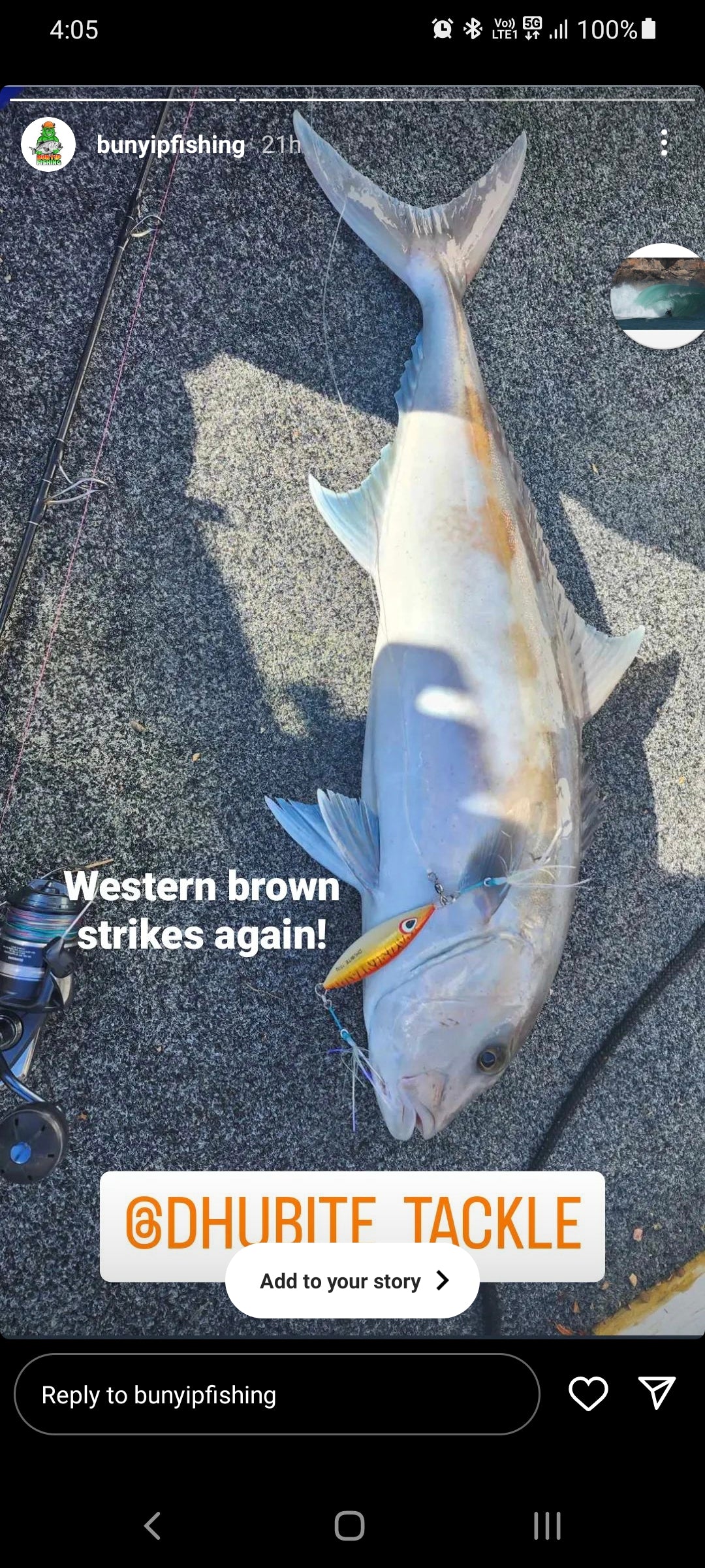 Western Brown (Glow)