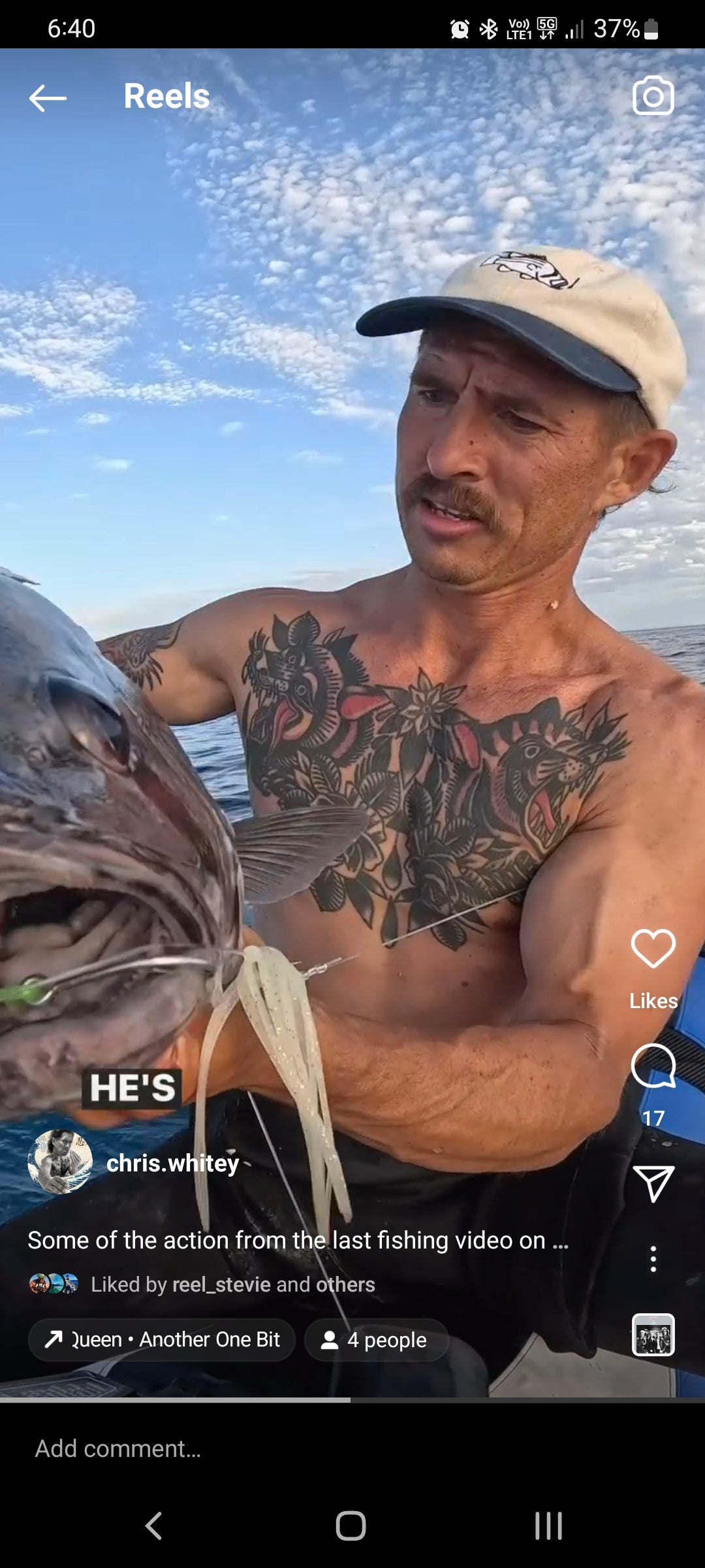 6 Panel (Unstructured) - 2 Tone