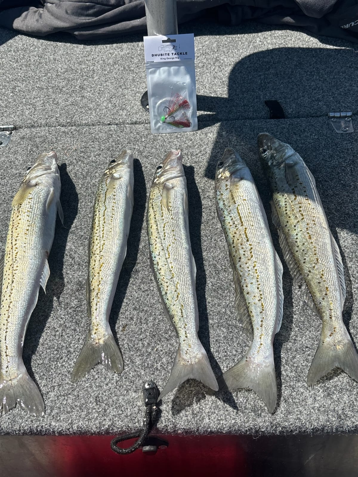 King George Whiting Rigs