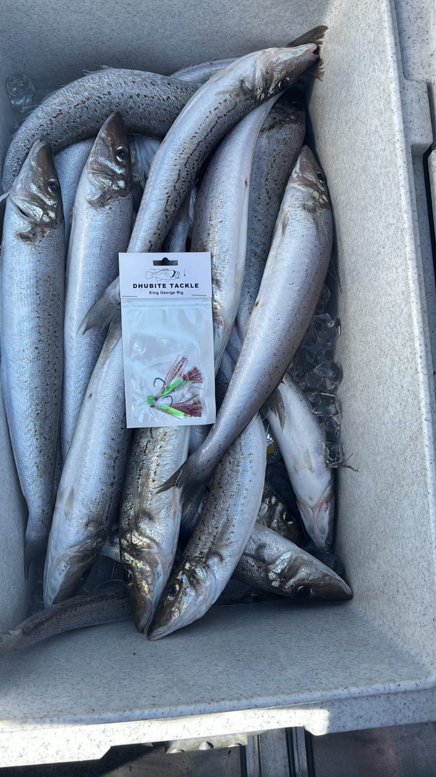 King George Whiting Rigs