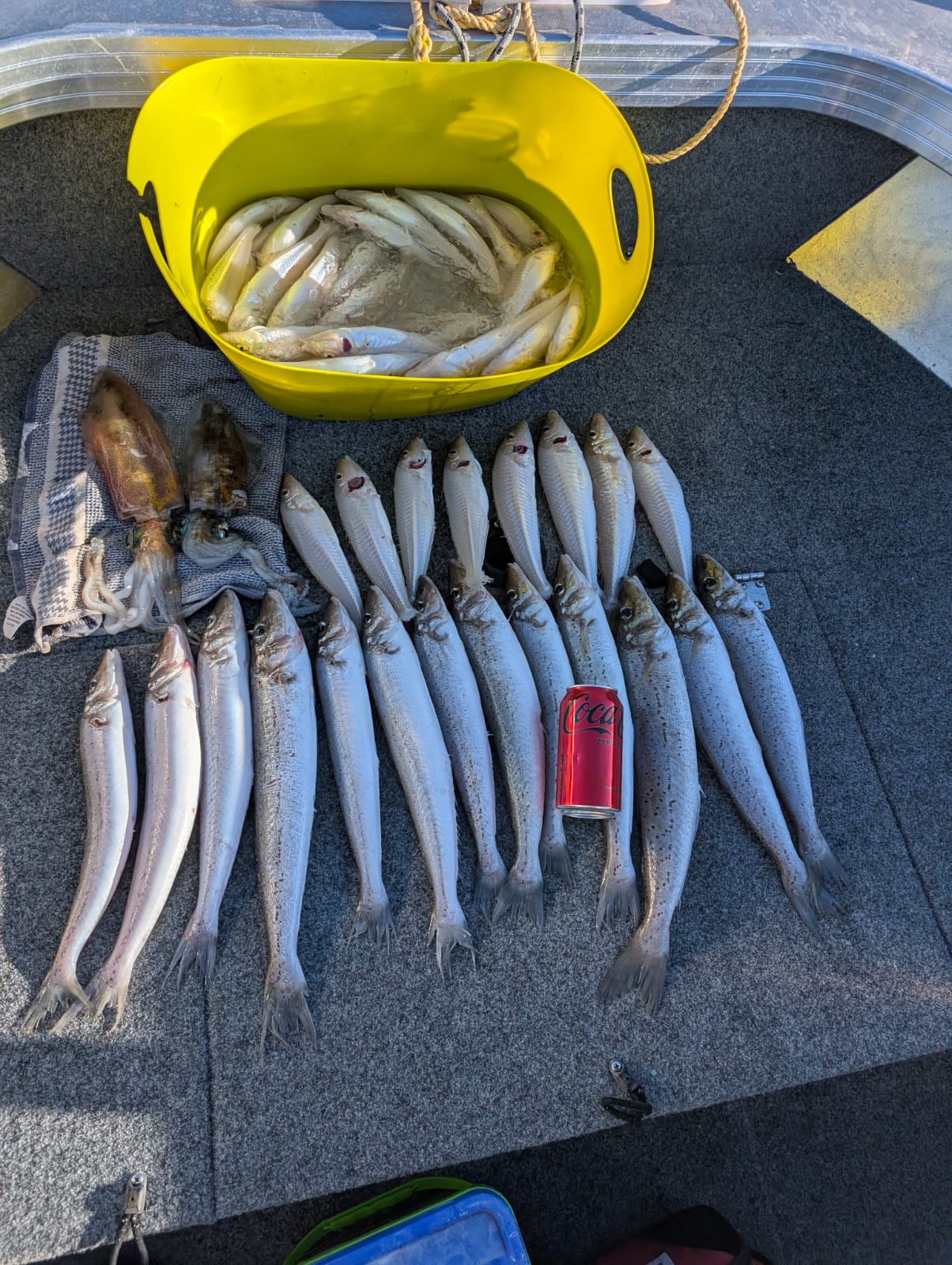 King George Whiting Rigs