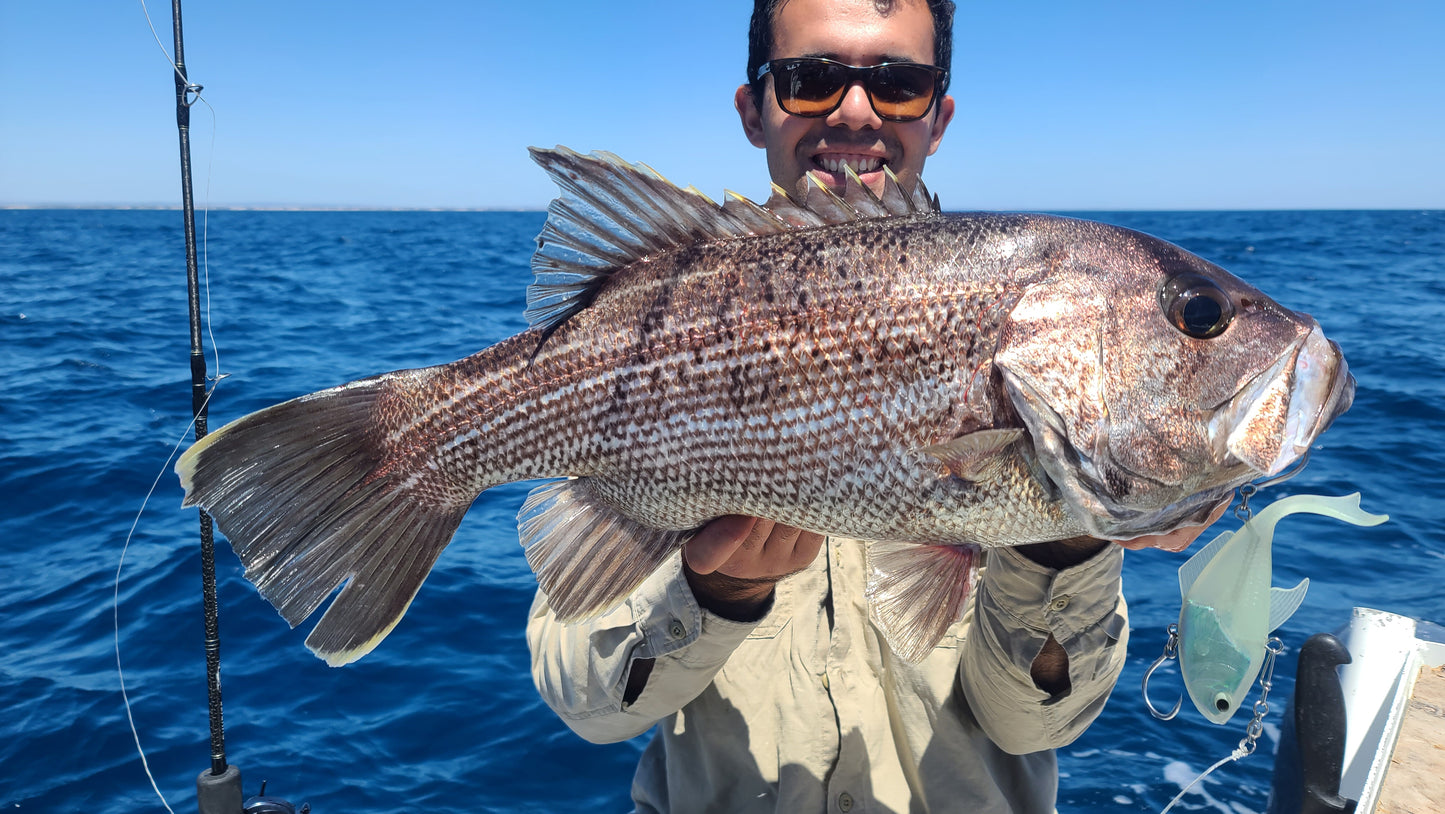 Vibe - 155mm - 190gms