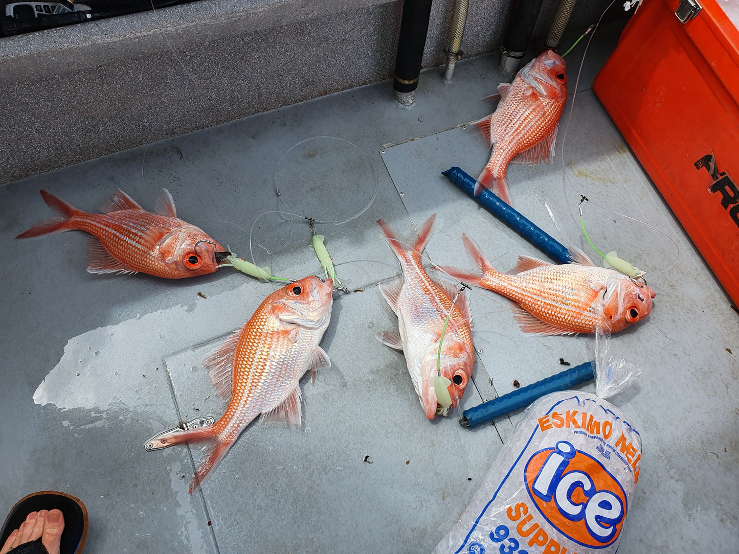 Deep Drop Rigs (16/0, 400lb)