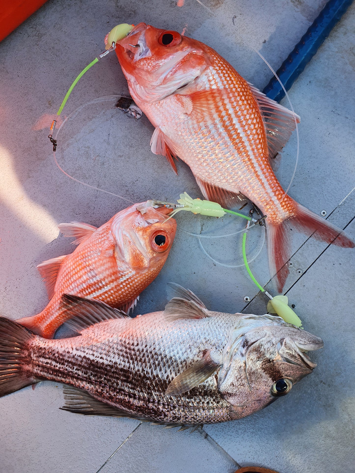 Deep Drop Rigs (16/0, 400lb)