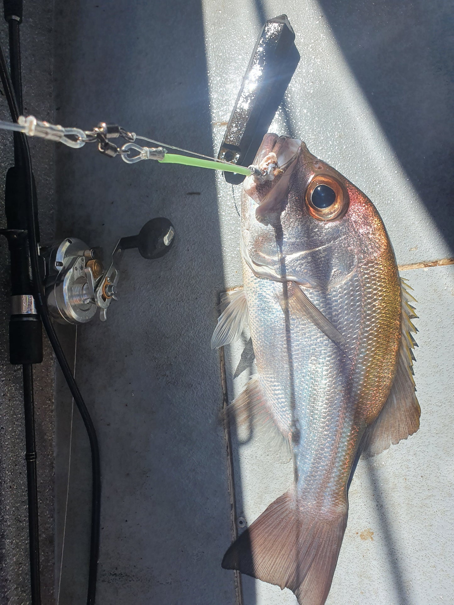 3 Dropper Rigs - J Hook