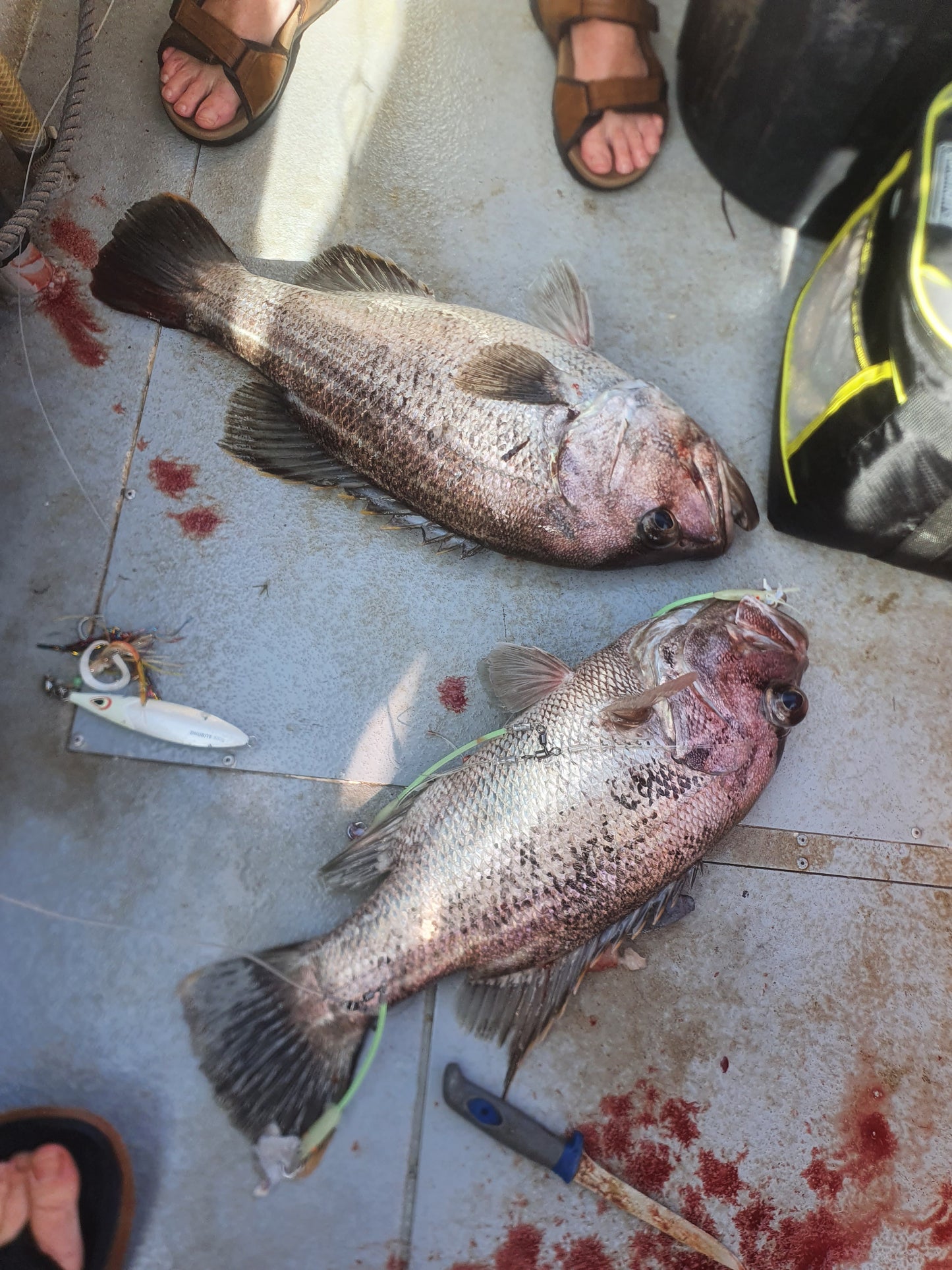 Deep Drop Rigs (16/0, 400lb)