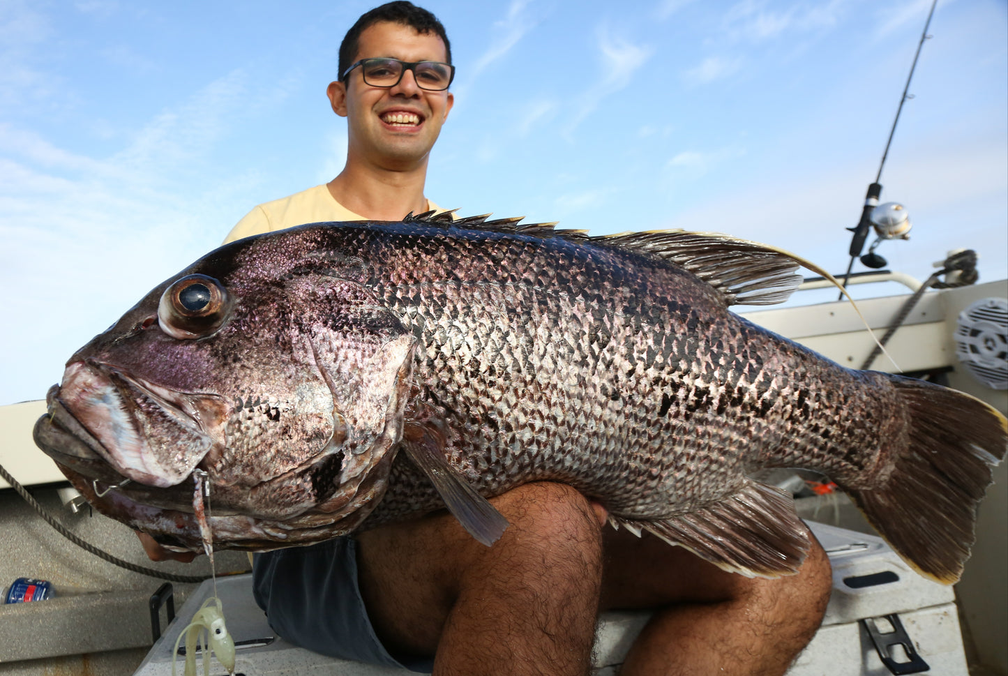 3 Dropper Rigs - J Hook