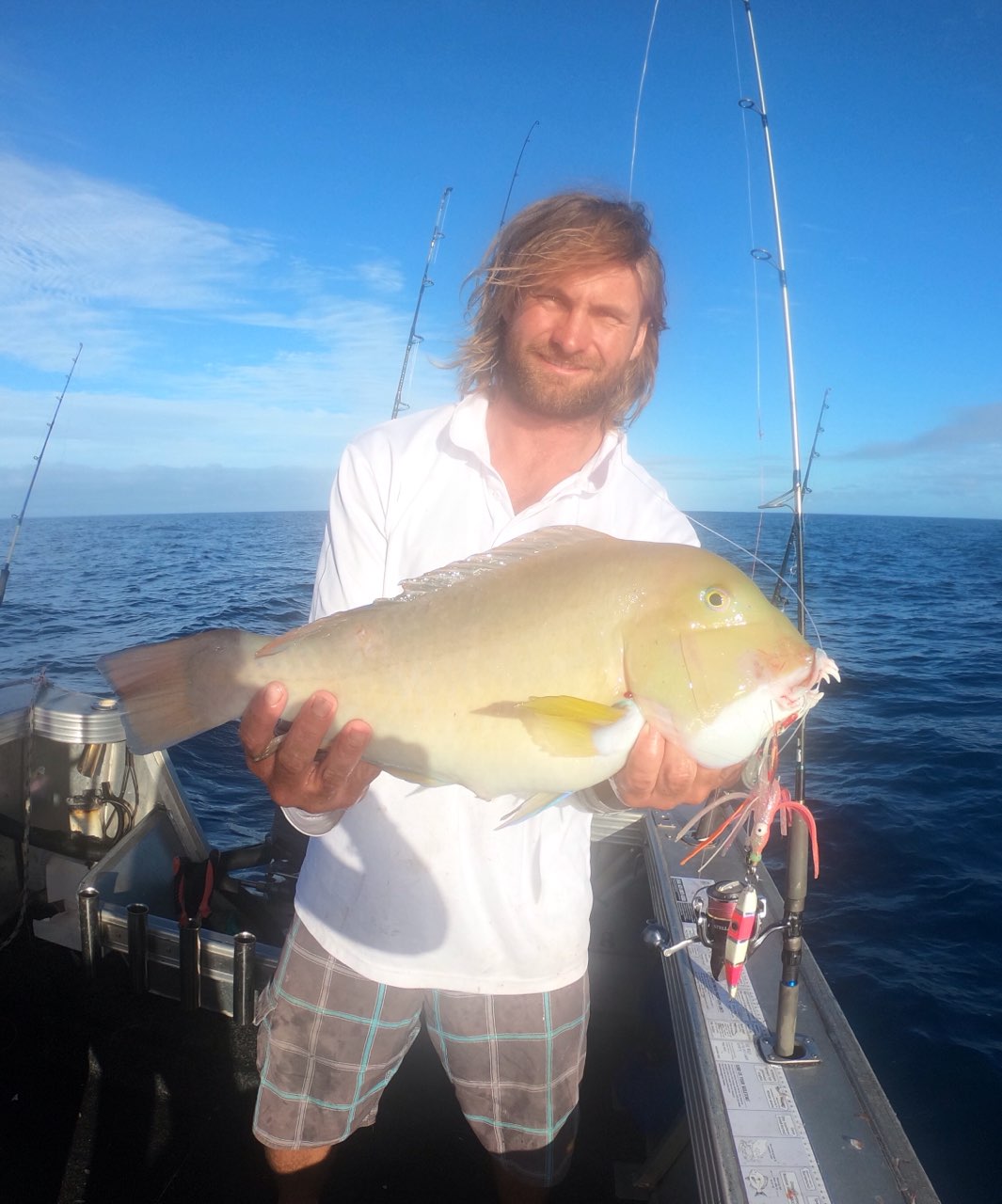 Bacon - 150g (Rigged)