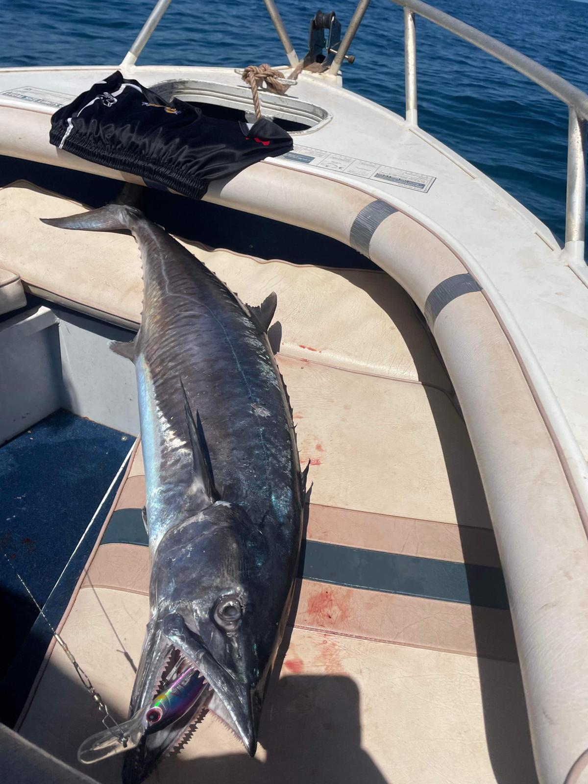 Deep Diver Trolling Lure