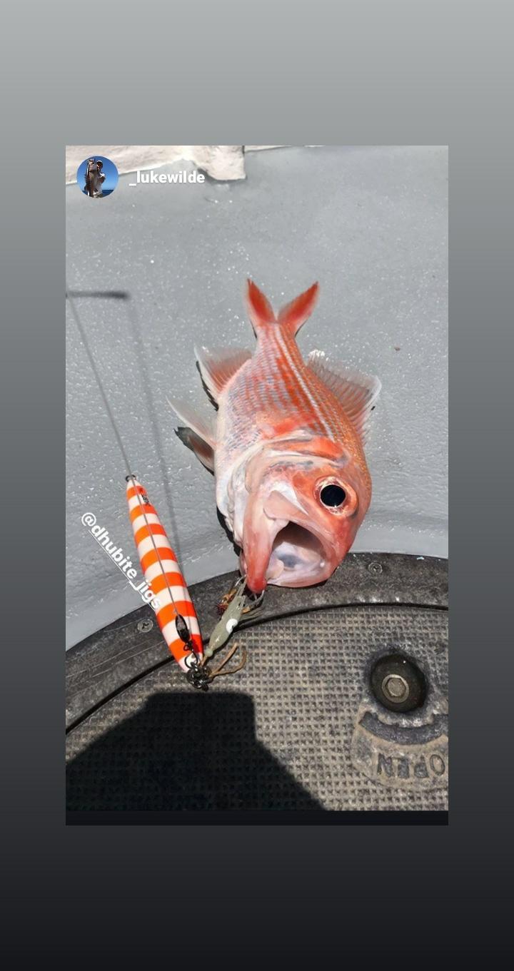 Deep Drop Jigs (600g, 750g, 1000g)