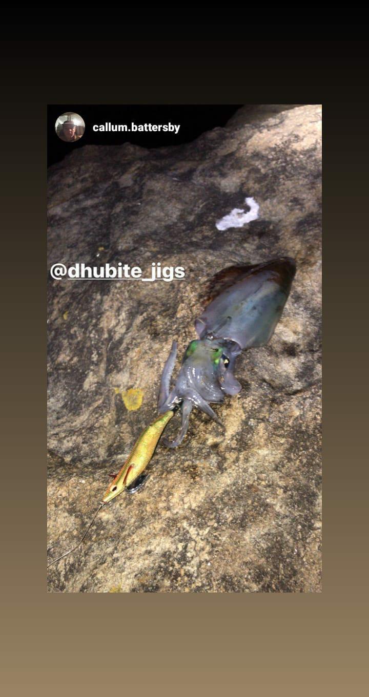 Squid Jigs - size 3.0