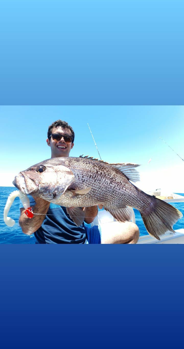 Paddletail (Ribbed) - 22cm, 13cm, 11cm