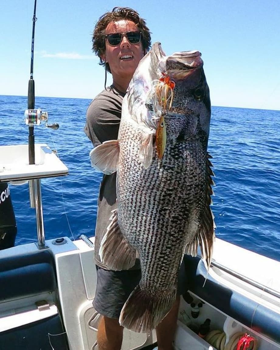 Western Brown (Glow)