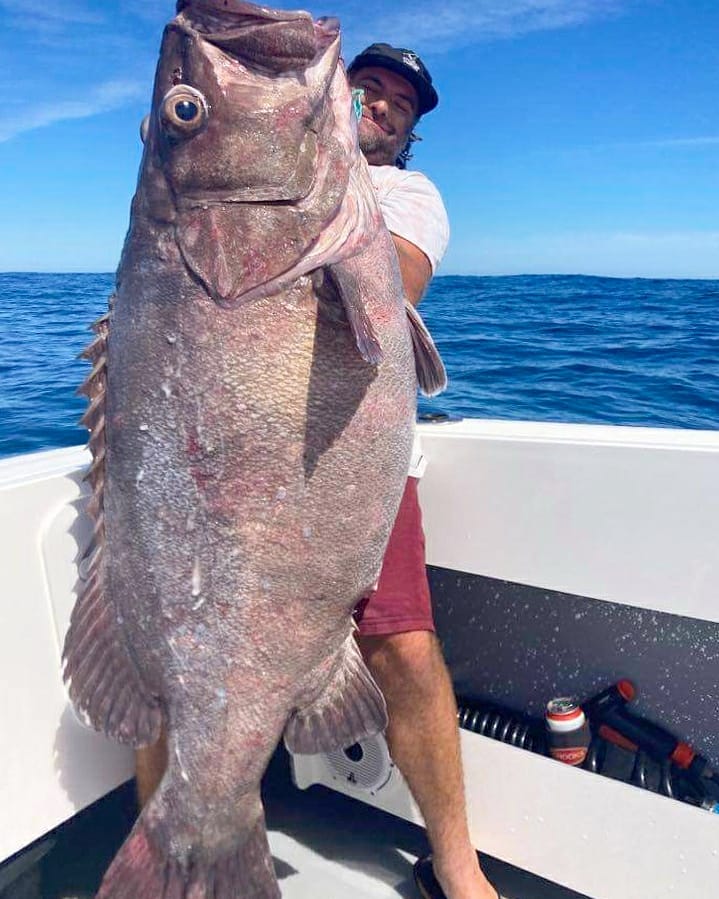 Deep Drop Rigs (16/0, 400lb)