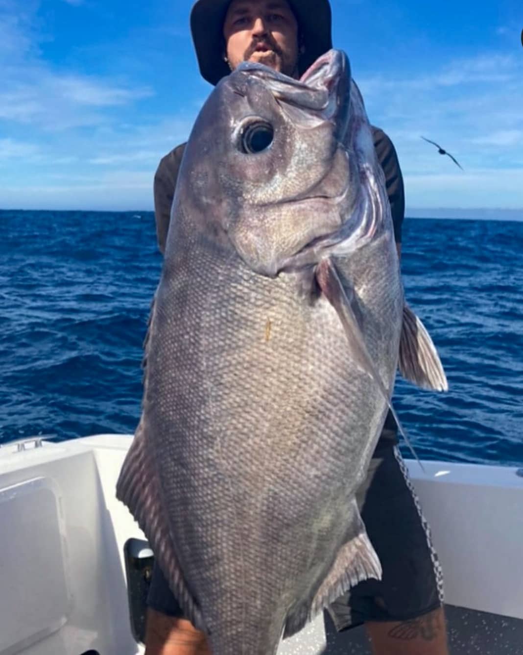 Deep Drop Rigs (16/0, 400lb)