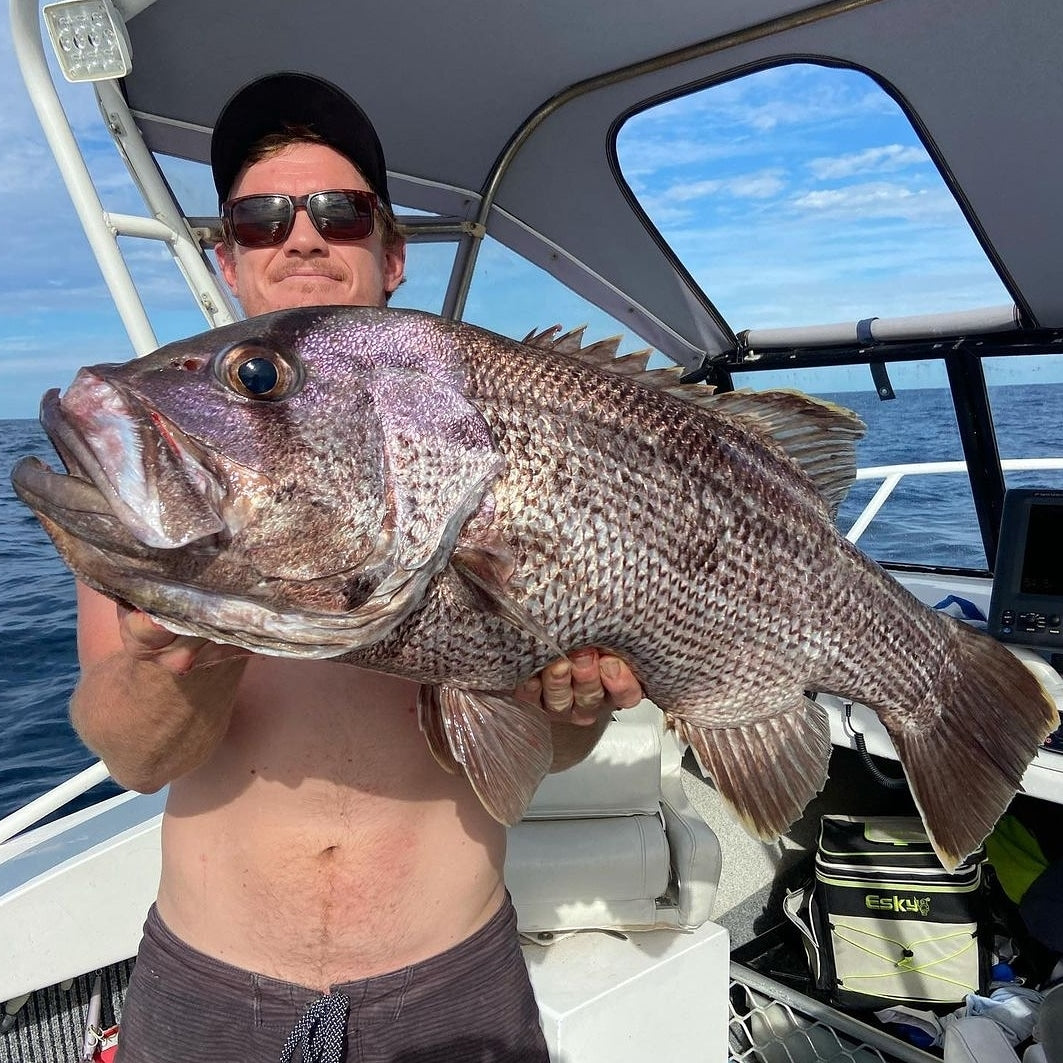 3 Dropper Rigs - J Hook