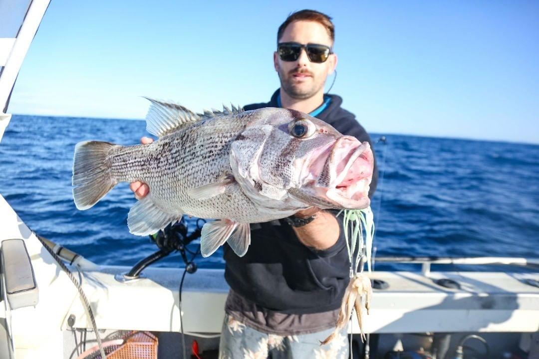 3 Dropper Rigs - J Hook