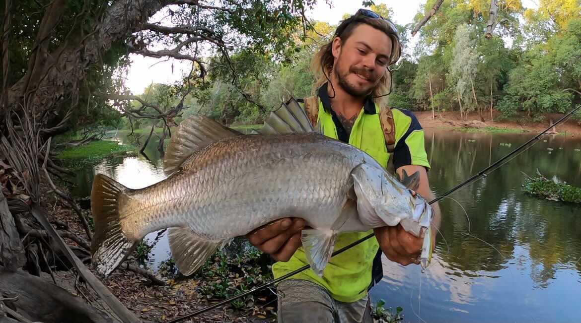 Barra Lure - Stalker (glow)