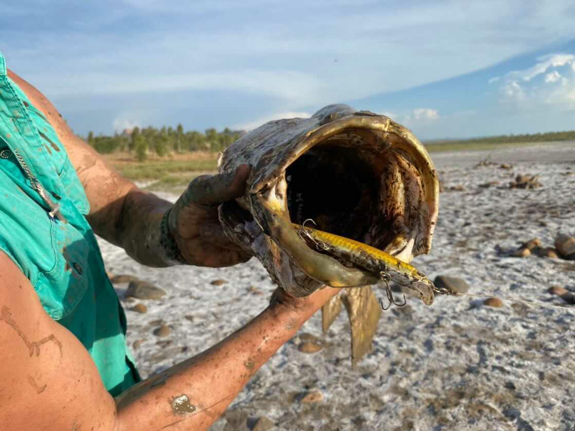 Barra Lure - Stalker (glow)