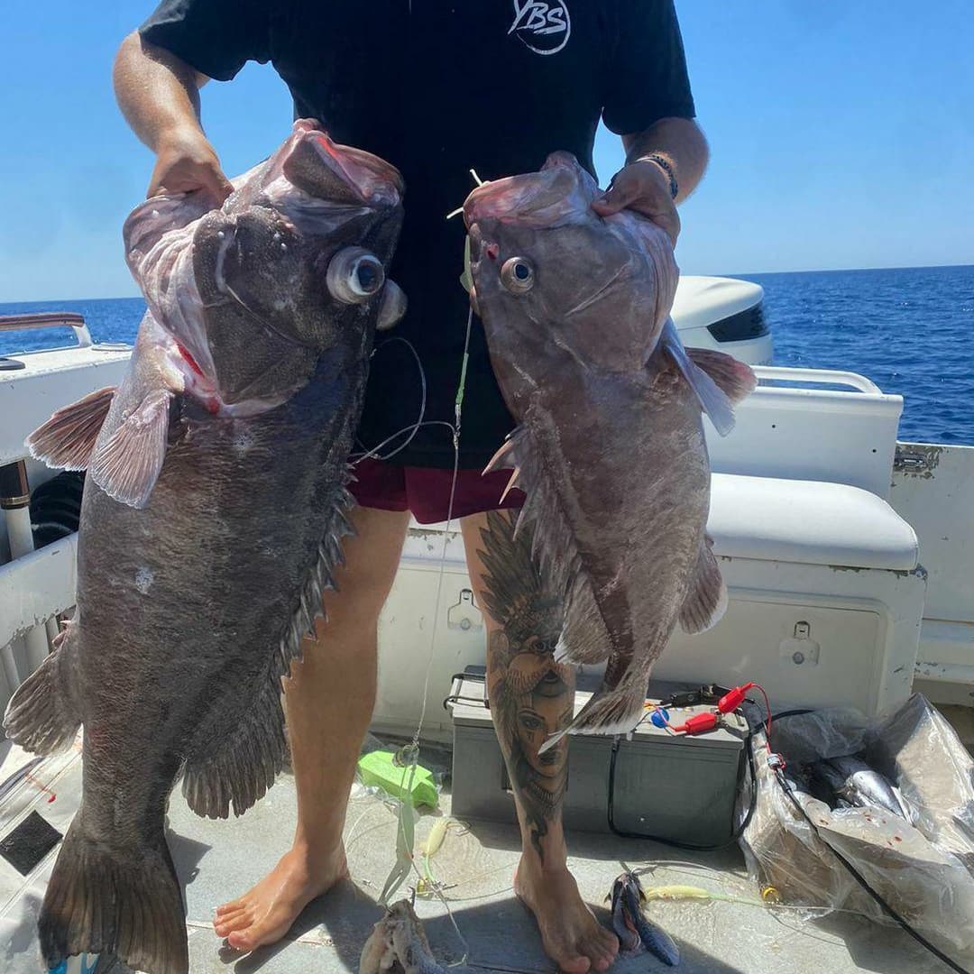 Deep Drop Rigs (16/0, 400lb)