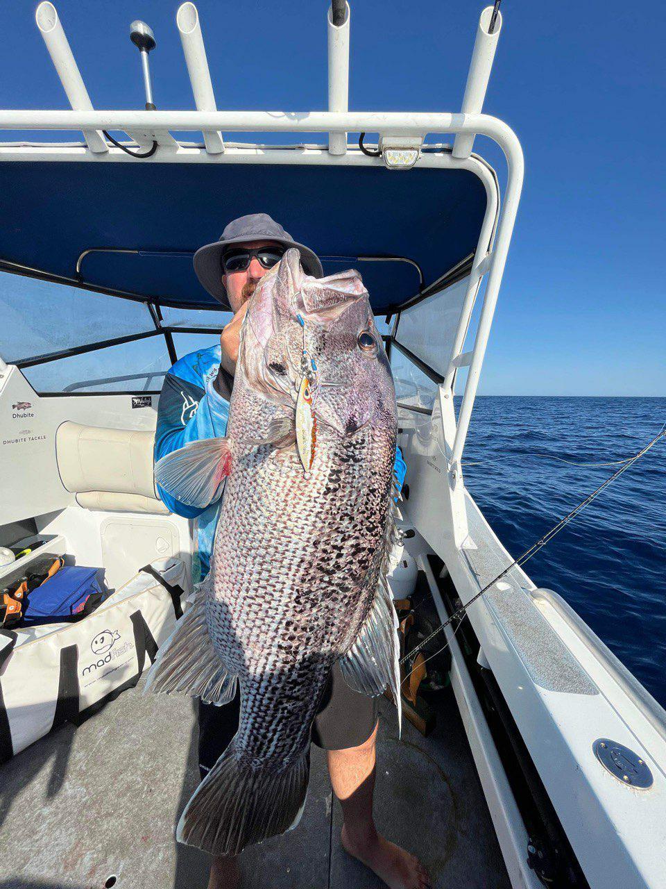 Western Brown (Glow)