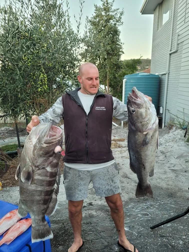 Deep Drop Rigs (16/0, 400lb)