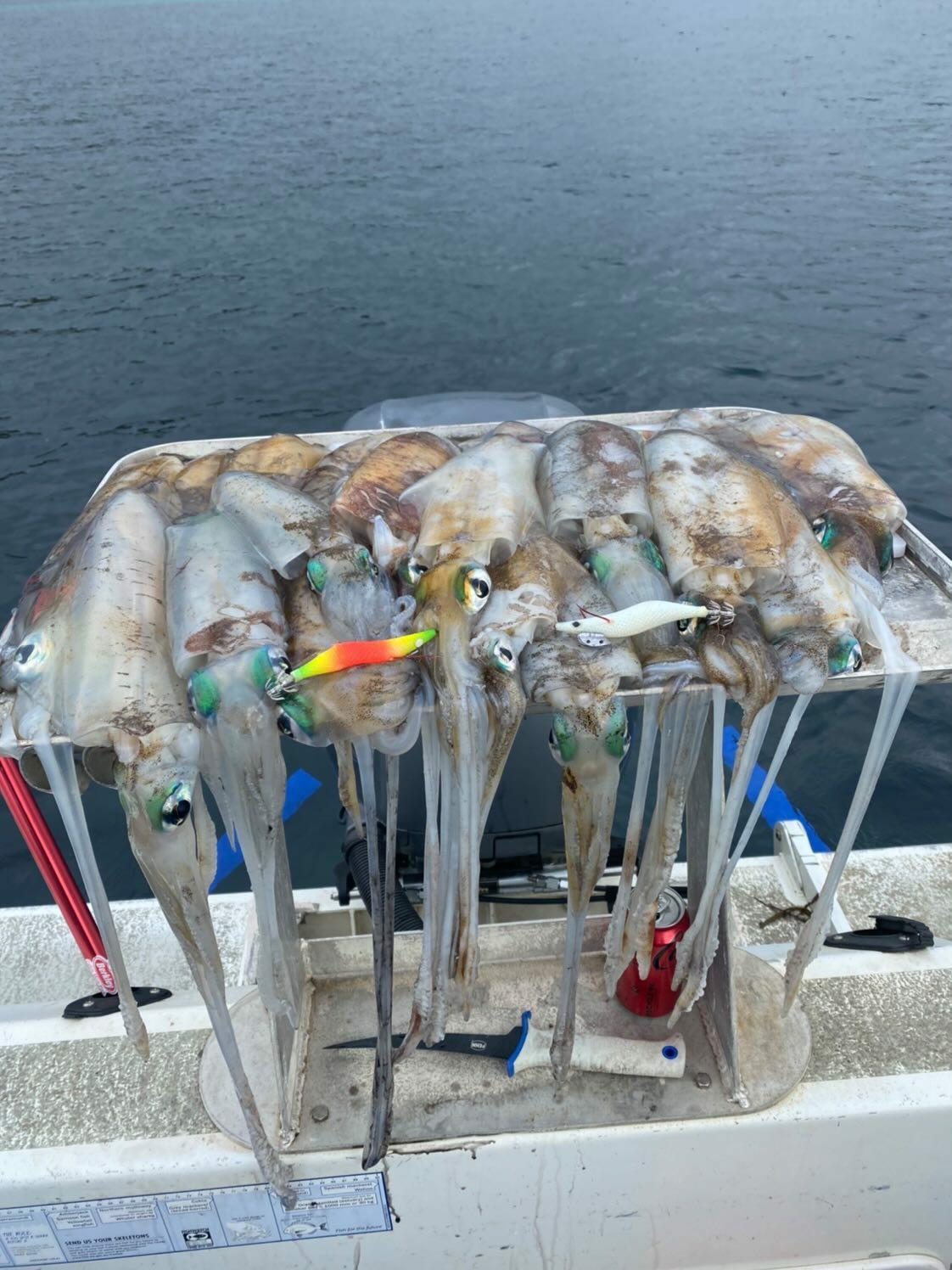 Squid Jigs - size 3.0