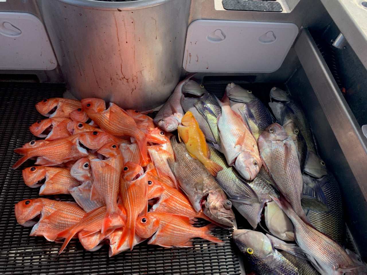 Deep Drop Rigs (16/0, 400lb)