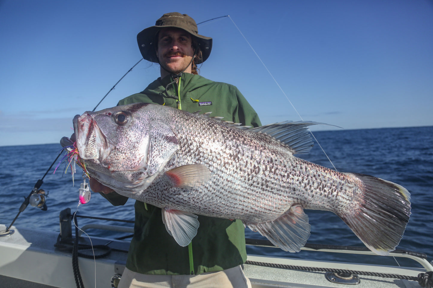 Paddletail (Ribbed) - 22cm, 13cm, 11cm