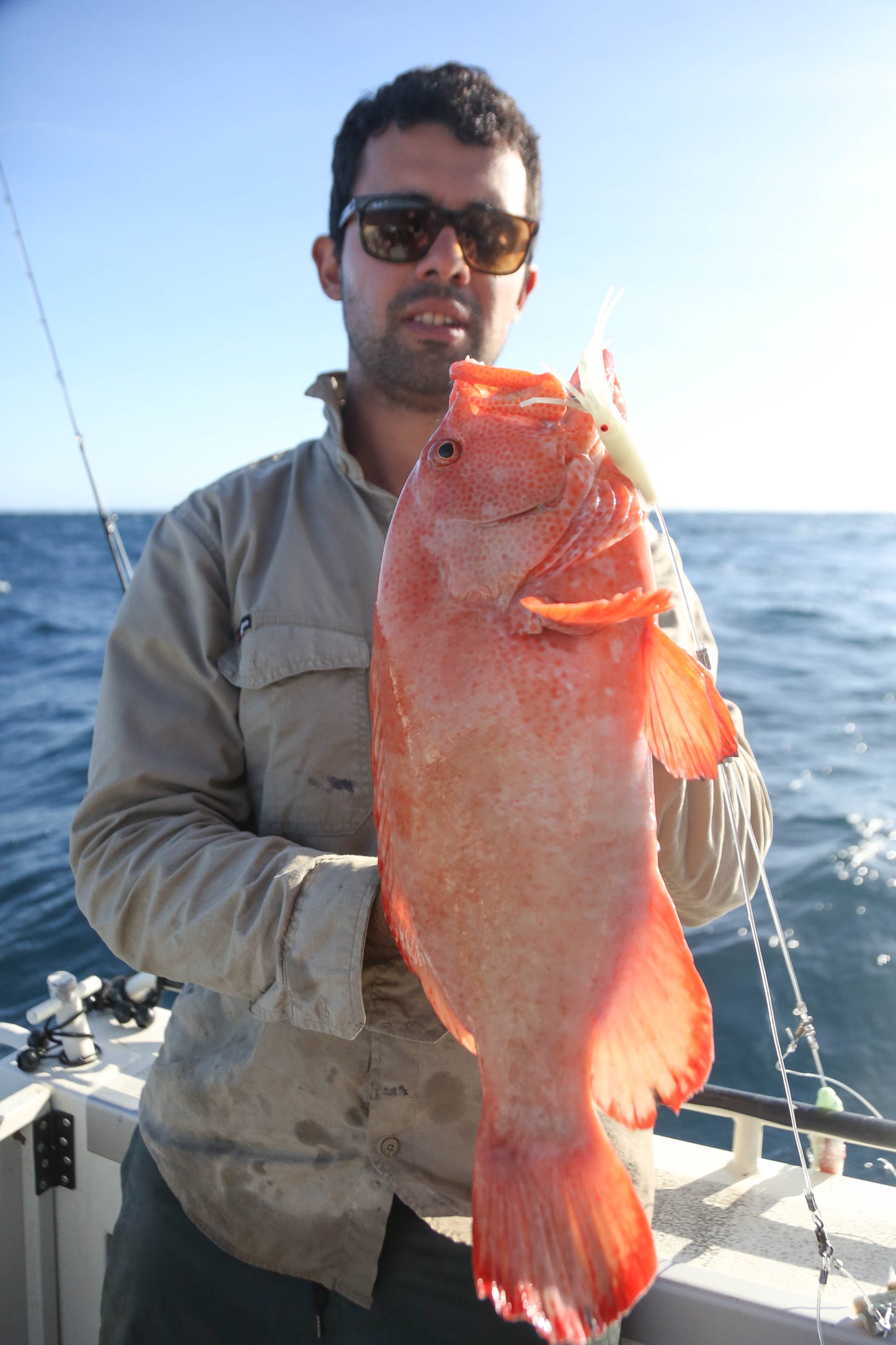 3 Dropper Rigs - J Hook