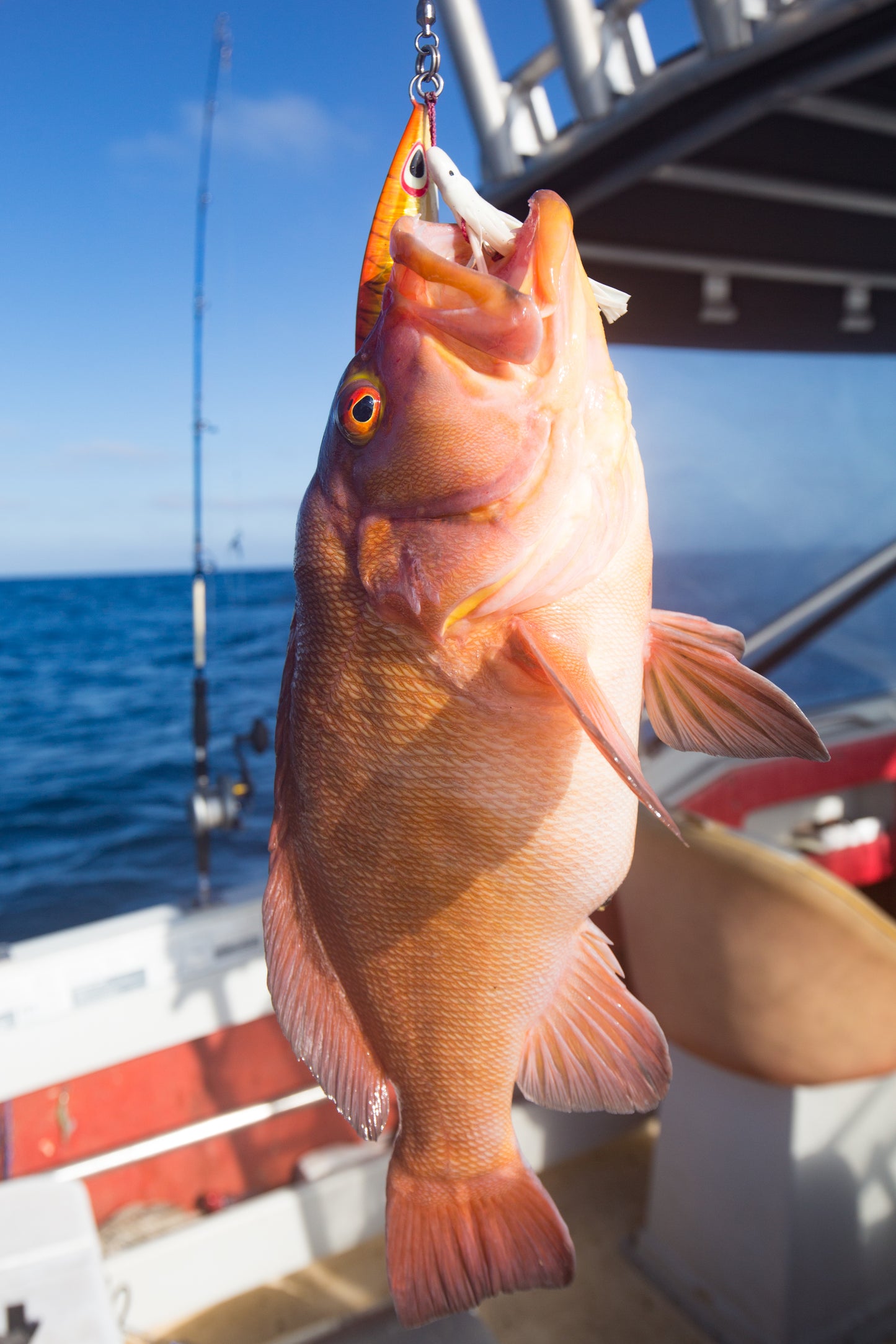 Western Brown (Glow)
