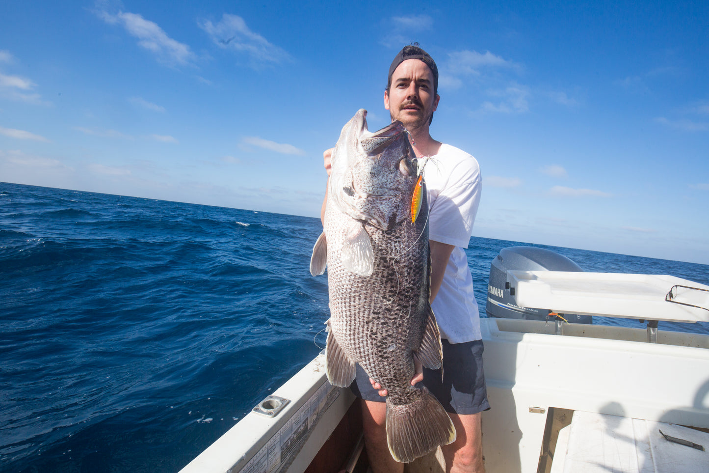 Western Brown (Glow)