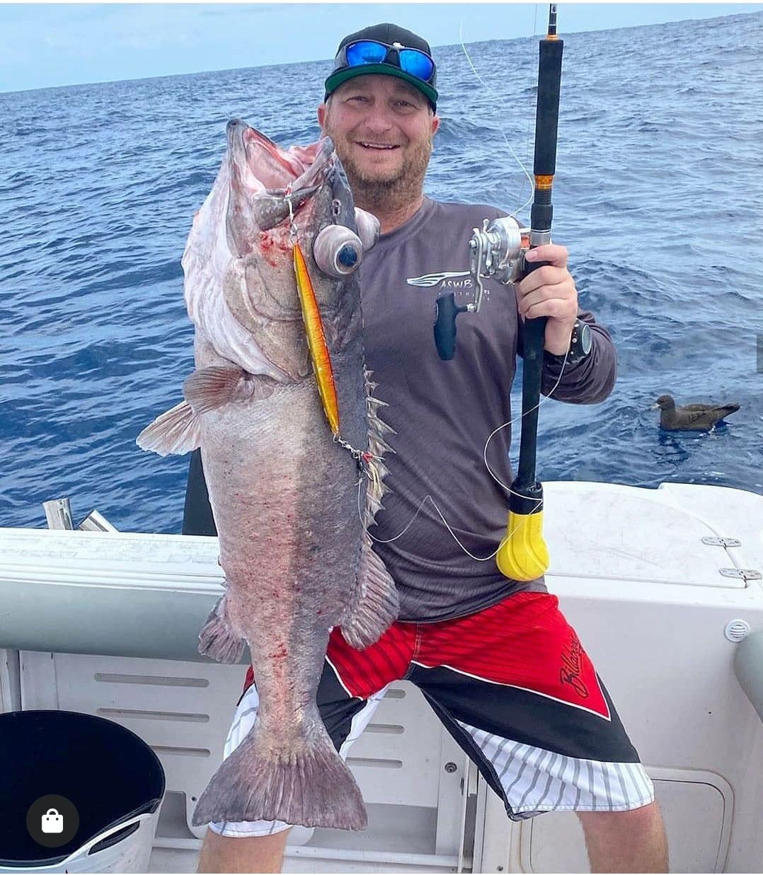 Deep Drop Jigs (600g, 750g, 1000g)