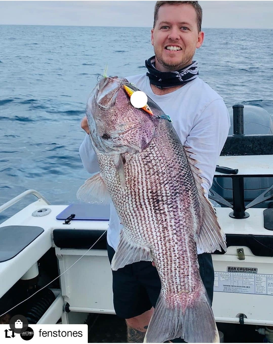 Western Brown (Glow)