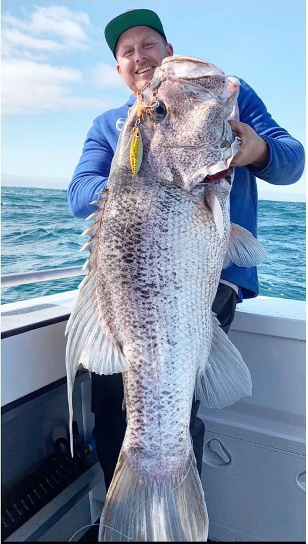 Western Brown (Glow)