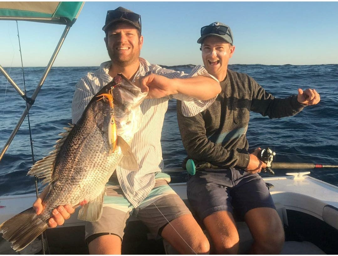 Western Brown (Glow)