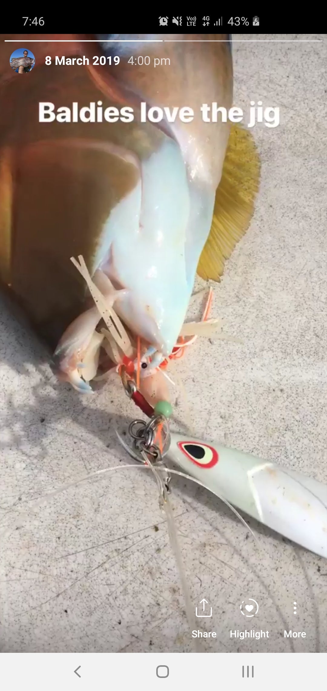 Paddletail (Ribbed) - 22cm, 13cm, 11cm