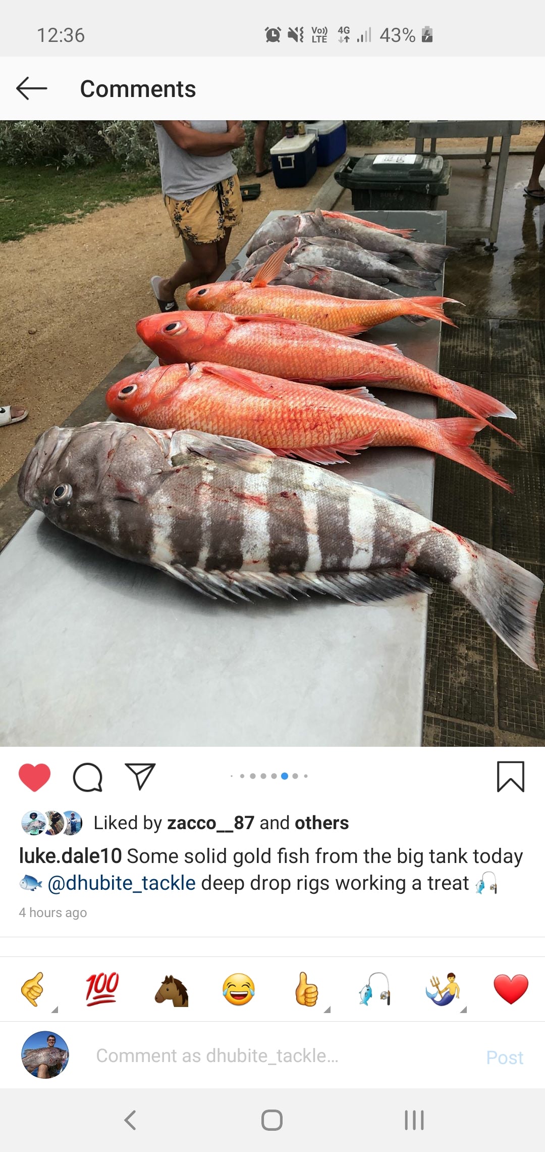 Deep Drop Rigs (16/0, 400lb)