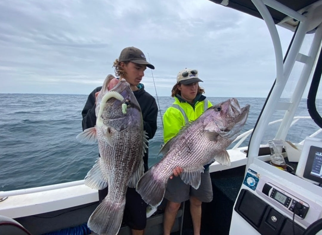 Paddletail (Ribbed) - 22cm, 13cm, 11cm