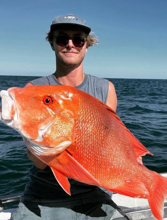 6 Panel - Flat Brim - Blue Eye Trevalla