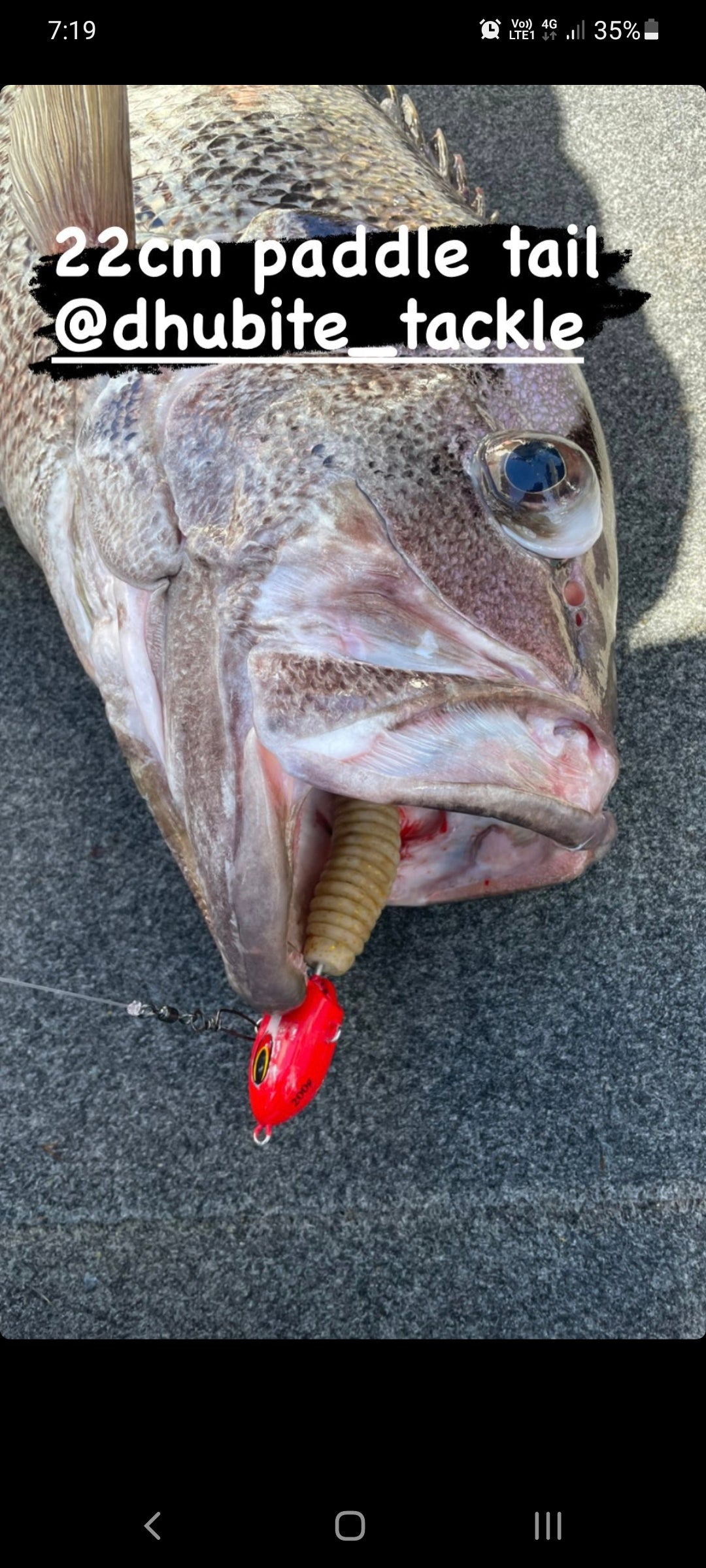 Paddletail (Ribbed) - 22cm, 13cm, 11cm