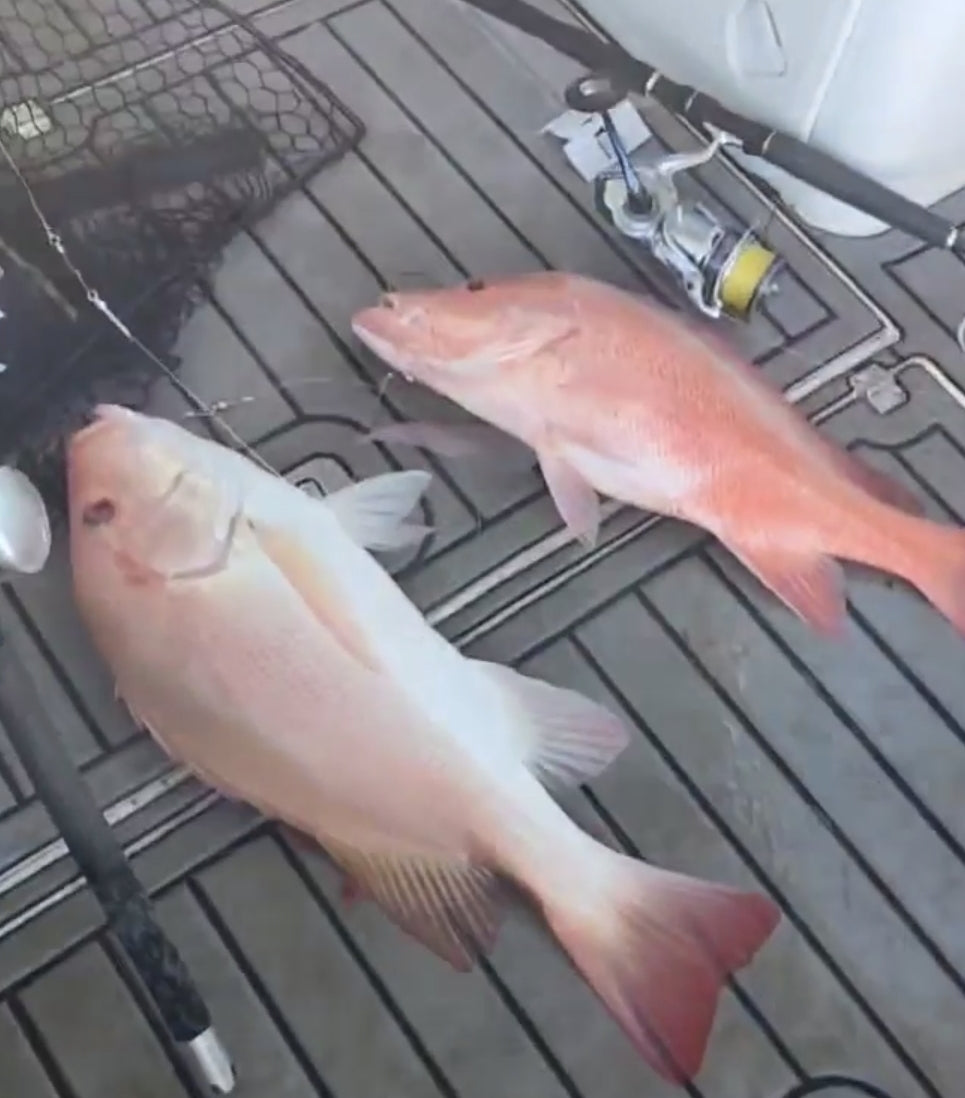 3 Dropper Rigs - J Hook