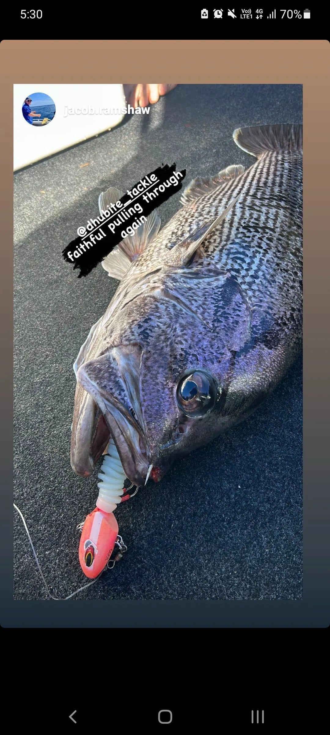 Paddletail (Ribbed) - 22cm, 13cm, 11cm