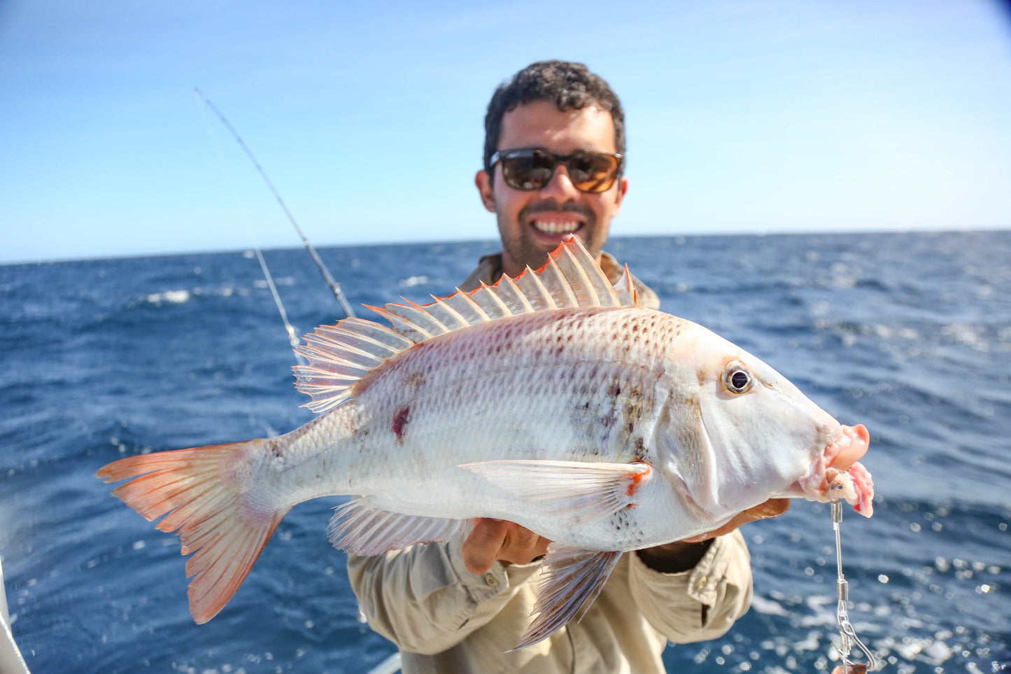 3 Dropper Rigs - J Hook