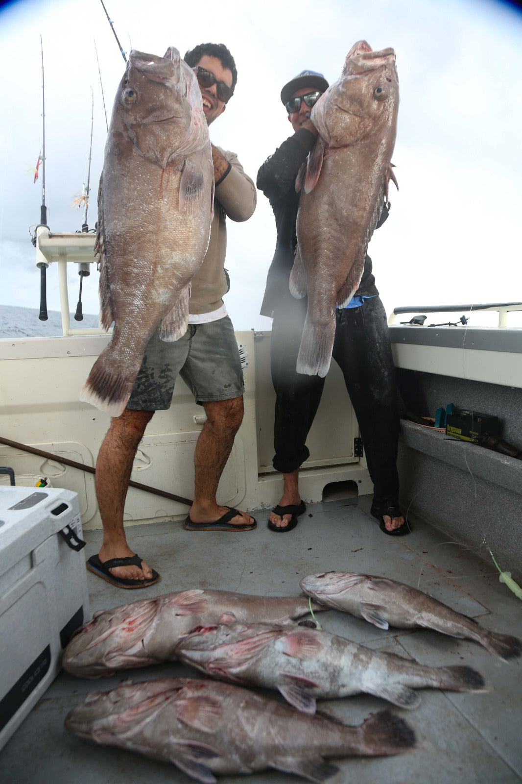 Deep Drop Rigs (16/0, 400lb)