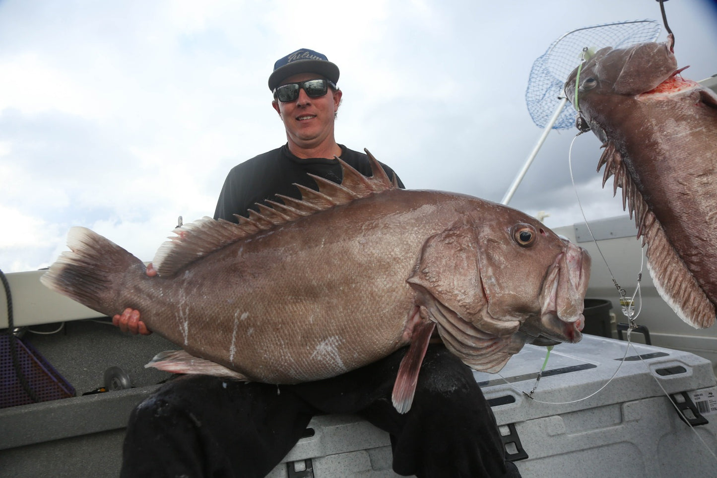 Deep Drop Rigs (16/0, 400lb)