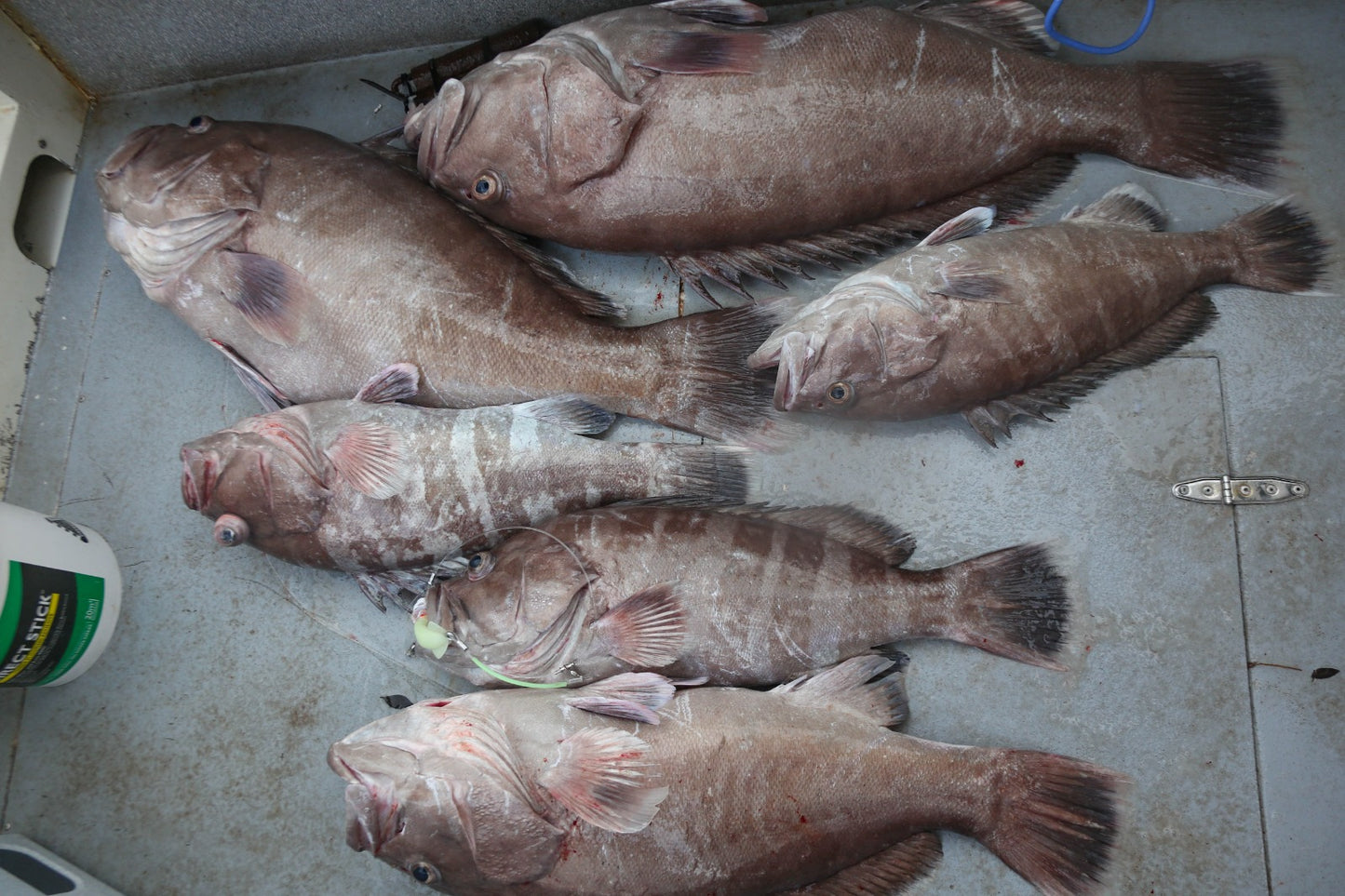 Deep Drop Rigs (16/0, 400lb)