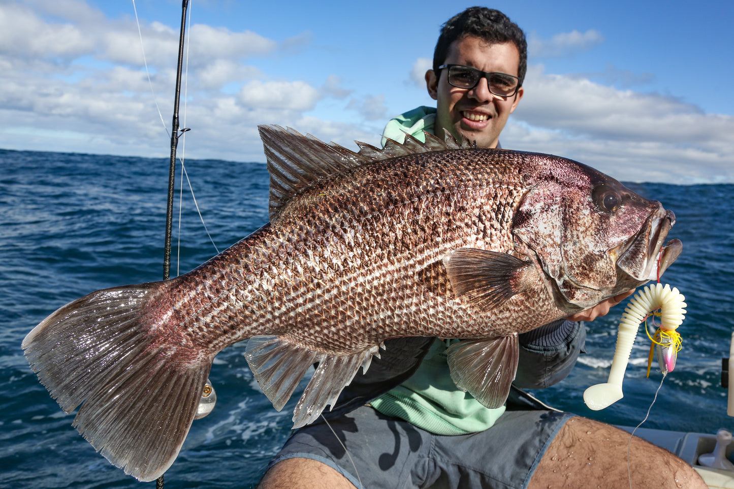 Paddletail (Ribbed) - 22cm, 13cm, 11cm